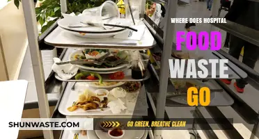 The Hidden Path of Hospital Food Waste: Where Does It Go?
