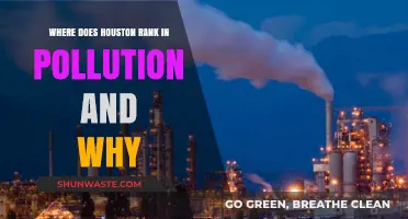 Houston's Pollution Ranking: Why So High?