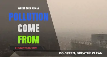 Human Pollution: Sources and Their Impact