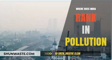 India's Pollution Crisis: A Global Ranking