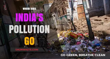 India's Pollution: Where Does It End Up?
