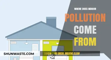 Sources of Indoor Pollution: What You Need to Know