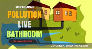 Bathroom Pollution: Where Does It Hide?