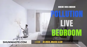 Bedroom Pollution: Where Does it Hide?