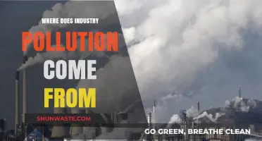 Industrial Pollution: What's the Source?