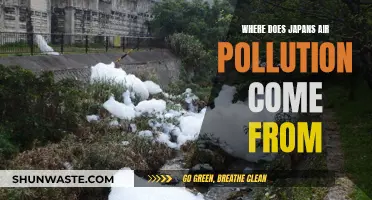 Japan's Air Pollution: What's the Main Source?