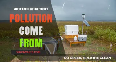 Lake Okeechobee Pollution: What's the Main Source?