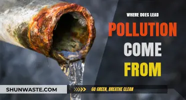 Sources of Lead Pollution and Their Impact