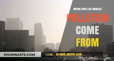 Los Angeles Pollution: Uncovering the Primary Sources