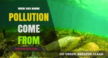 The Ocean's Polluters: Sources of Marine Contamination