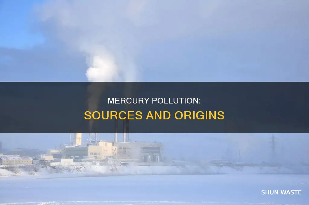 where does mercury pollution come from