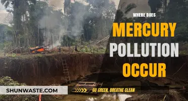 Mercury Pollution: Global Contamination Sources