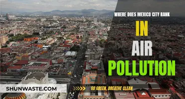 Air Pollution's Impact on Mexico City