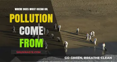 The Mystery of Ocean Oil Pollution Sources