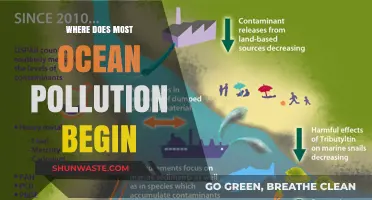 The Source of Ocean Pollution: Where Does it Start?