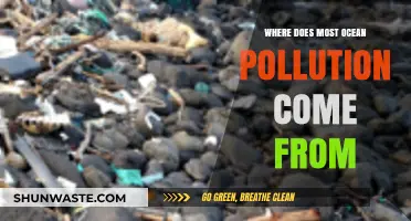The Ocean's Polluters: Uncovering the Main Sources of Marine Debris
