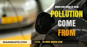 Delhi's Pollution: What's the Main Culprit?