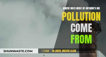Ontario's Air Pollution: What's the Main Source?