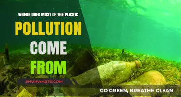 The Troubling Sources of Plastic Pollution