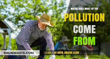 Major Sources of Pollution and Their Impacts