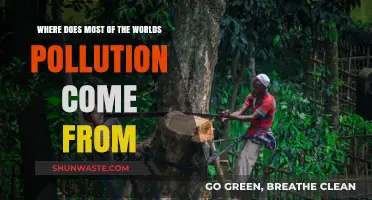 The World's Pollution: Who's the Main Culprit?