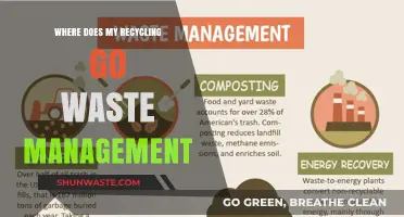 Unveiling the Journey: Where Does Your Recycling Really Go?