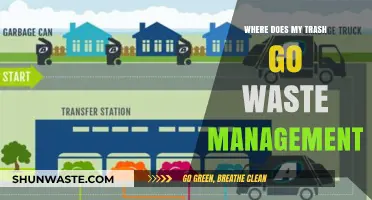Unveiling the Journey: Where Does My Trash Go?