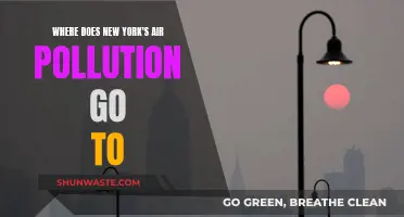 New York's Air Pollution: Where Does It Go?