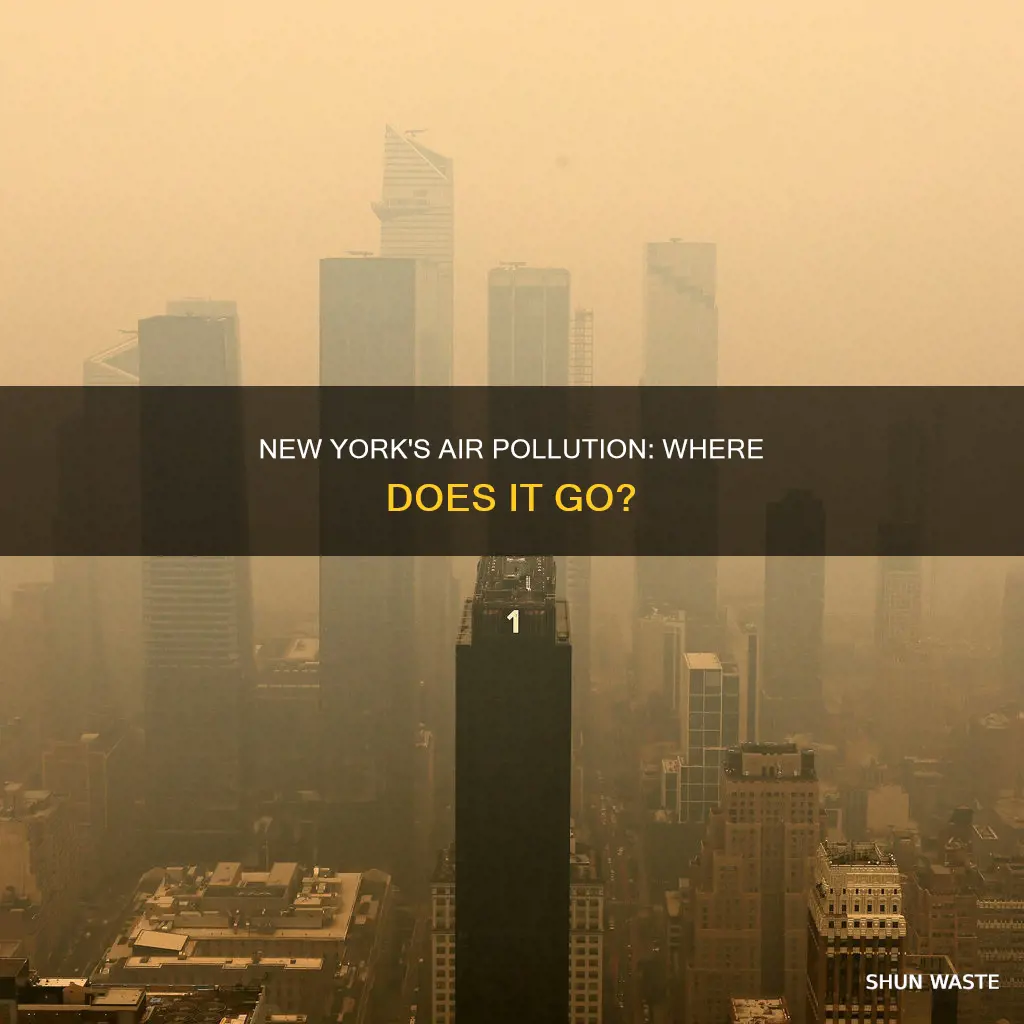 where does new york