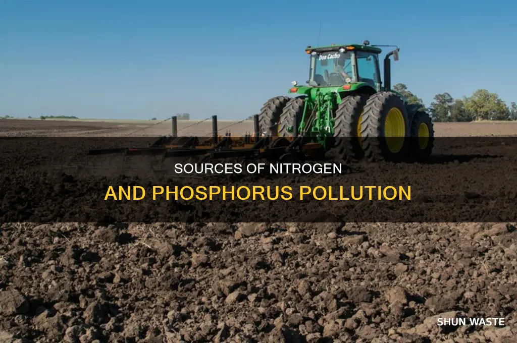 where does nitrogen and phosphorus pollution come from
