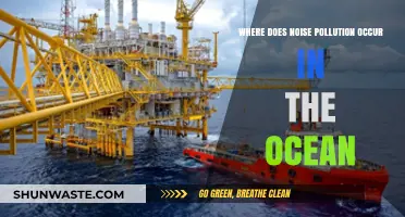 Ocean Noise Pollution: Sources and Impact