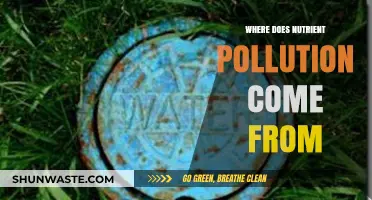 Sources of Nutrient Pollution: What You Need to Know