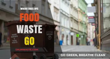The Hidden Journey of NYC's Food Waste: From Plate to Processing