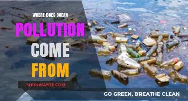 The Ocean's Plight: Pollution's Many Sources