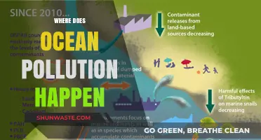 Ocean Pollution: A Global Crisis