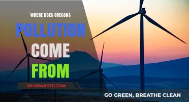 Oregon's Pollution: What's the Main Source?