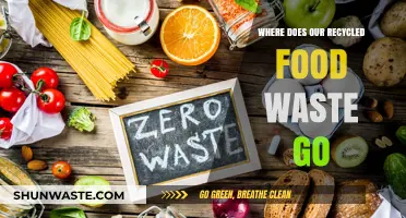 Unveiling the Journey: Where Our Recycled Food Waste Ends Up