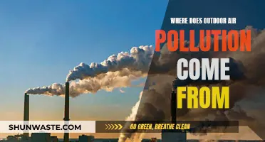 Sources of Outdoor Air Pollution Revealed