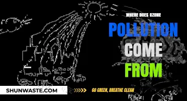 Sources of Ozone Pollution: What You Need to Know