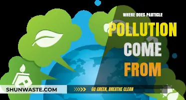 Sources of Particle Pollution: A Comprehensive Overview