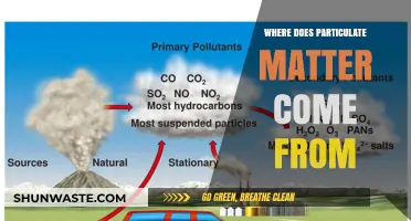 Sources of Particulate Matter: A Comprehensive Overview