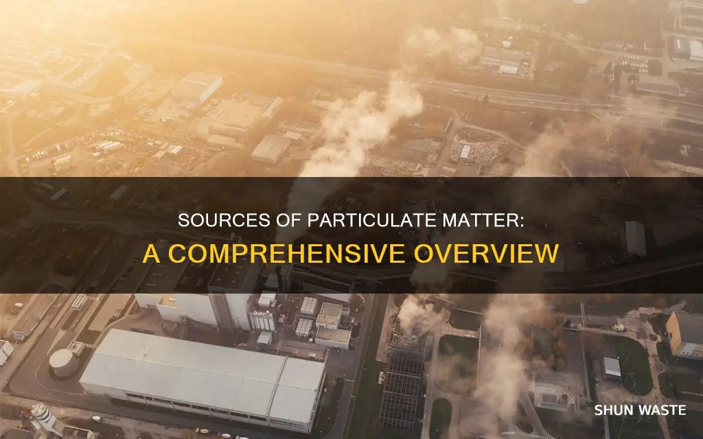 where does particulate matter come from