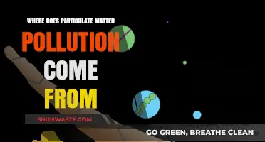 Sources of Particulate Matter Pollution: A Comprehensive Guide
