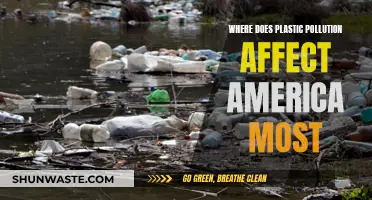 Plastic Pollution: America's Most Affected Regions