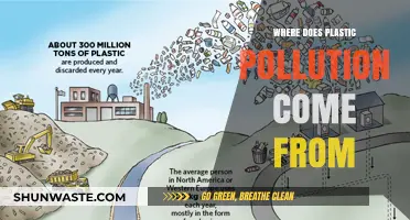 Plastic Pollution: The Sources and Their Impact