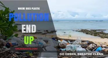 Plastic Pollution: Our Oceans, Our Problem