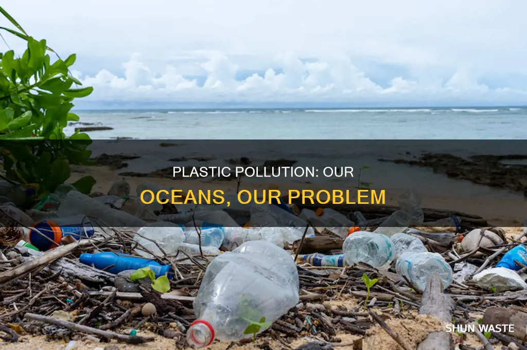 where does plastic pollution end up