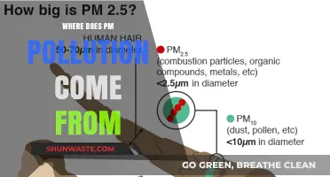 Sources of PM Pollution: What You Need to Know