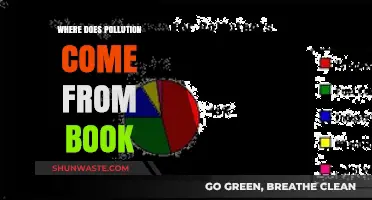 The Book's Take on Pollution Origins