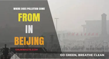 The Pollution Sources of Beijing's Air Crisis